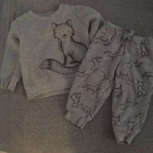 Sweatshirt/sweatpants Set